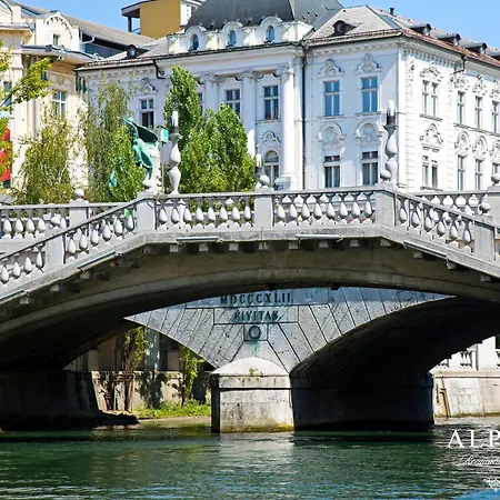 Alpha Romantic Lejlighed